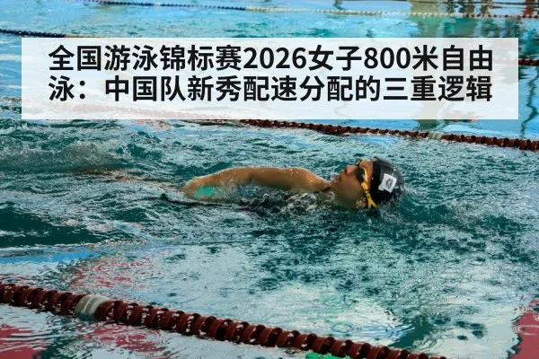 competitive swimmer freestyle stroke pool