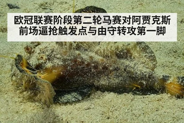 欧冠联赛阶段第二轮马赛对阿贾克斯前场逼抢触发点与由守转攻第一脚
